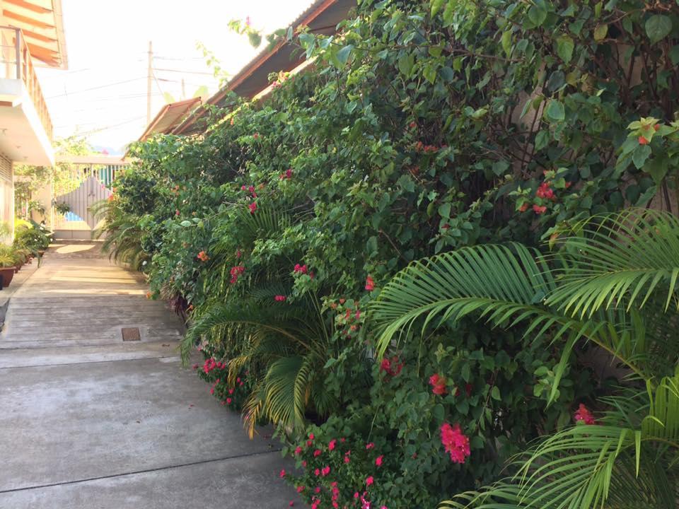 La Casa Del Italiano Bed & Breakfast Tarapoto Exterior photo
